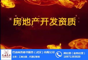 武汉巴迪商务服务 一站式商标专利代理与代账解决方案